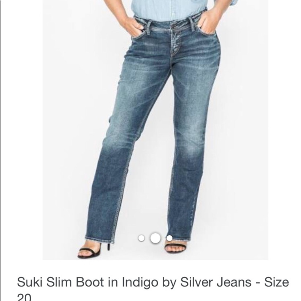 PLUS Sz 20X31L women’s silver suki